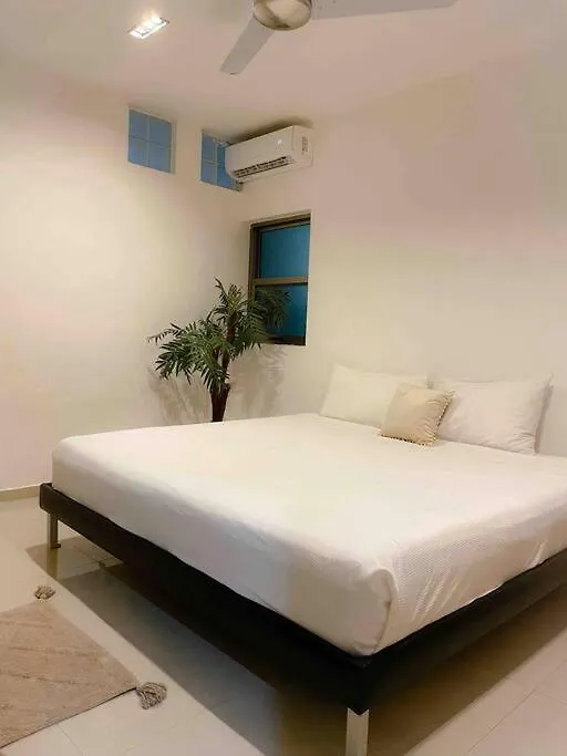 Apartment In The Best Area Of ​​بلايا ديل كارمن